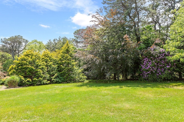 13 Try Works Rd, Truro, MA 02666 - view of grassy yard