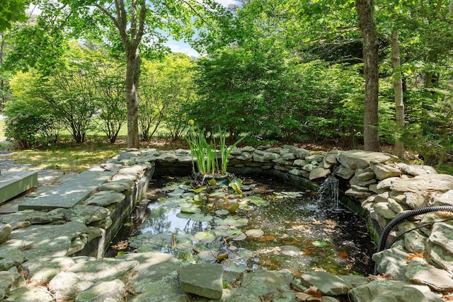 13 Try Works Rd, Truro, MA 02666 - view of local wilderness with a garden pond