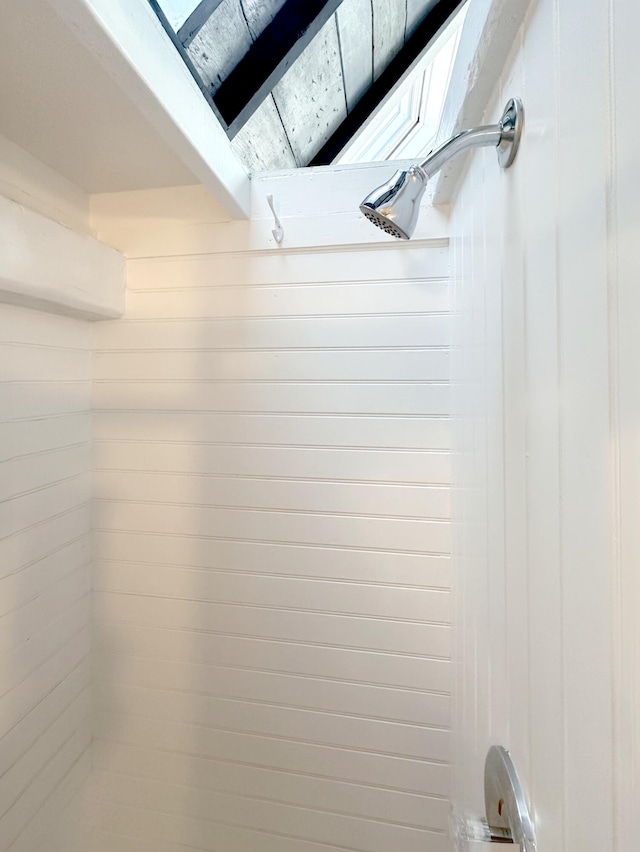 details featuring walk in shower and a skylight