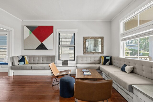 living room featuring dark wood-type flooring and crown molding