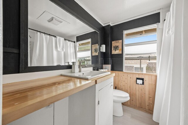 bathroom featuring vanity, toilet, and wood walls