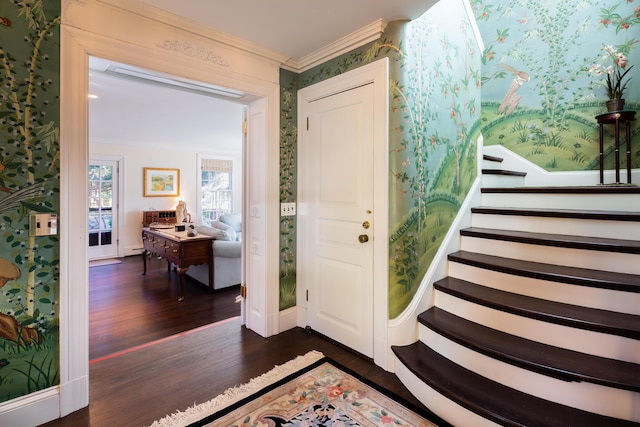 foyer featuring crown molding and dark wood-type flooring