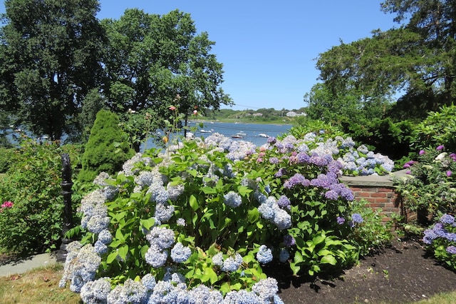 water view