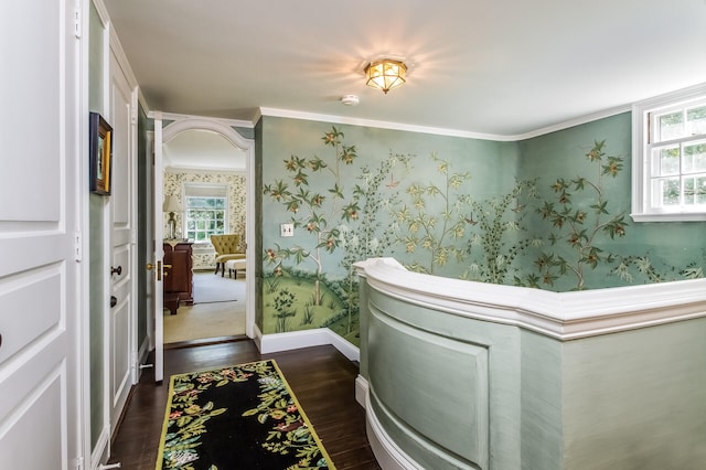 bathroom featuring crown molding and hardwood / wood-style flooring