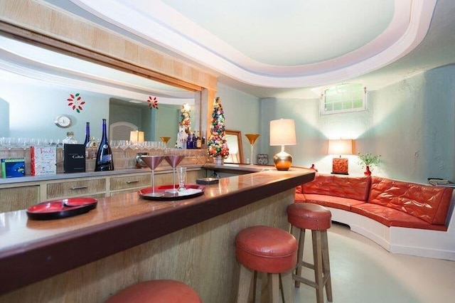 bar featuring a tray ceiling