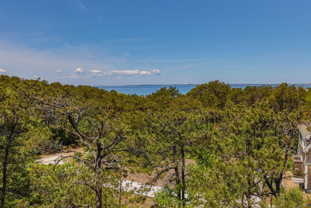 5 Chickadee Ln, Truro, MA 02666 - photo 36
