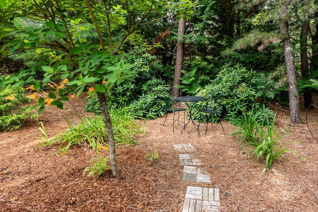 23 Eagle Ln, Cotuit, MA 02635 - photo 34