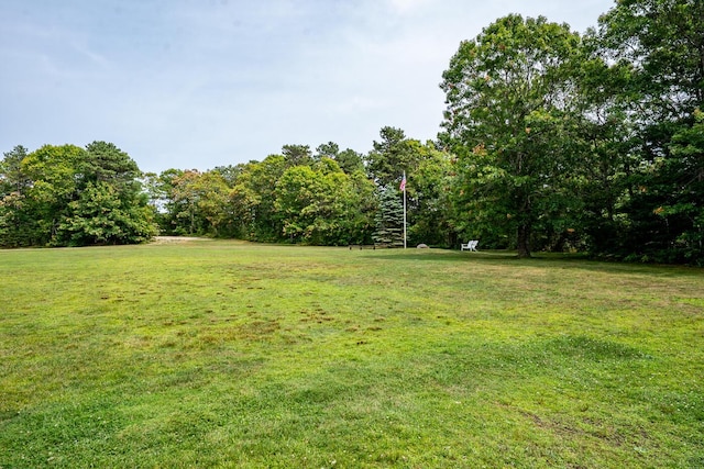 23 Eagle Ln, Cotuit, MA 02635 - photo 38