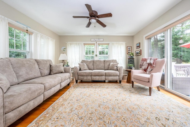 23 Eagle Ln, Cotuit, MA 02635 - photo 10