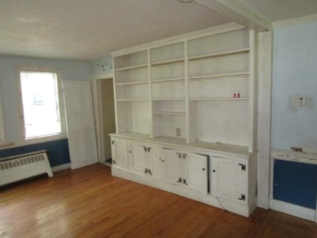 closet with radiator