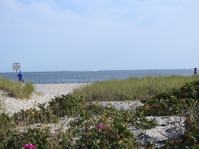 water view with a view of the beach