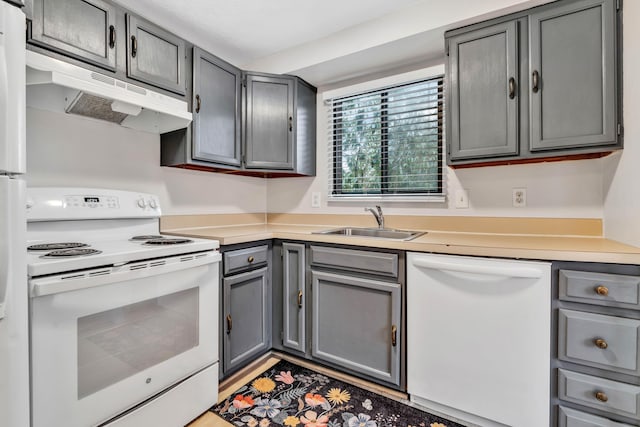 kitchen featuring white appliances, a sink, gray cabinetry, light countertops, and under cabinet range hood