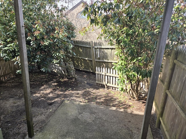 view of yard with a fenced backyard and a patio area