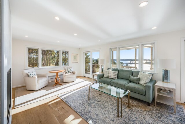 living room with hardwood / wood-style floors