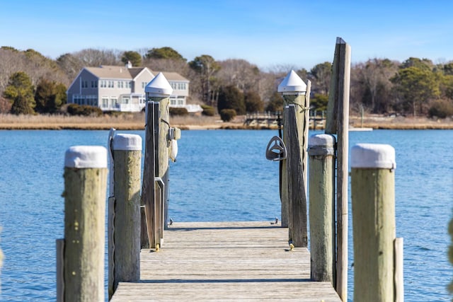 dock area with a water view