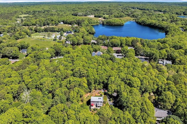 17 Claus Way, Marstons Mills, MA 02648 - aerial view of a forest and a large body of water