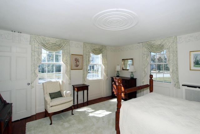 bedroom featuring radiator heating unit, dark hardwood / wood-style flooring, and multiple windows