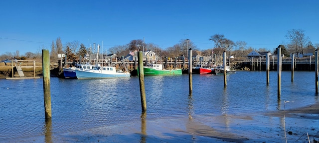 view of water feature with a dock