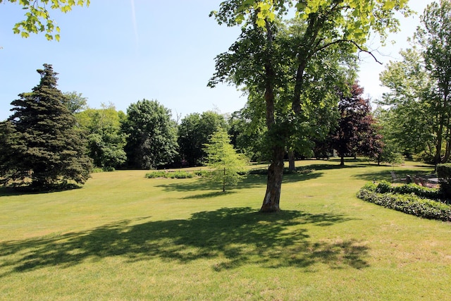 view of home's community featuring a lawn