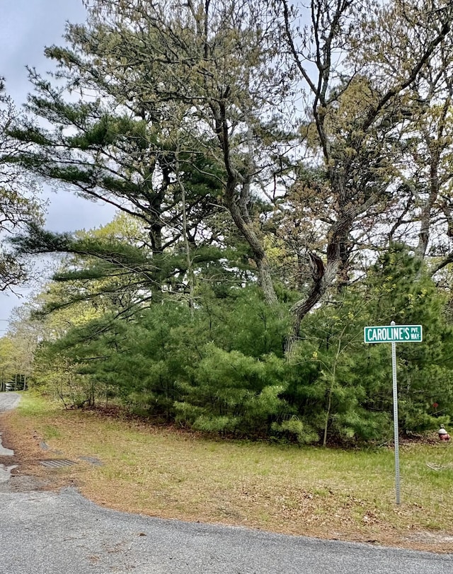2 Carolines Way, Orleans, MA 02653 - photo 1