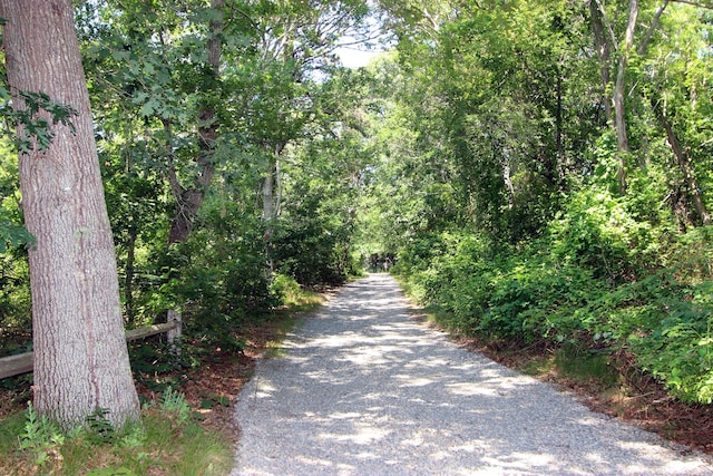 495 Aspinet Rd, Eastham, MA 02642 - photo 52