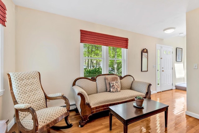 17 Greenway Cir, Sandwich, MA 02563 - living room featuring light wood-style floors, baseboards, and a baseboard radiator