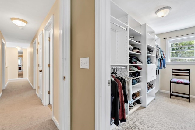 17 Greenway Cir, Sandwich, MA 02563 - walk in closet with light carpet