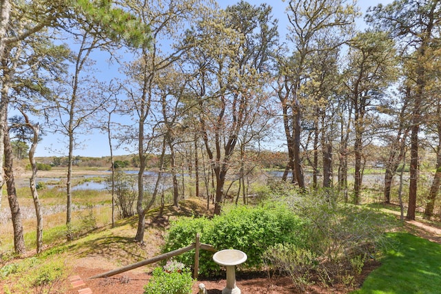 116 Happy Valley Rd, Chatham, MA 02633 - view of yard featuring a water view