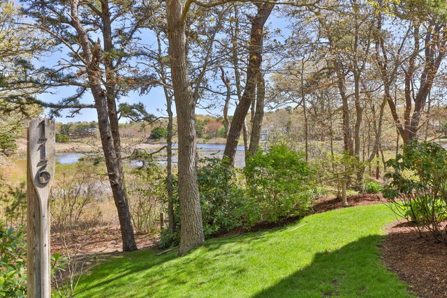 116 Happy Valley Rd, Chatham, MA 02633 - view of green lawn with a water view