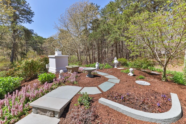 116 Happy Valley Rd, Chatham, MA 02633 - view of yard