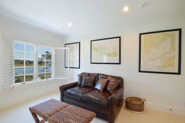 living room with crown molding and carpet