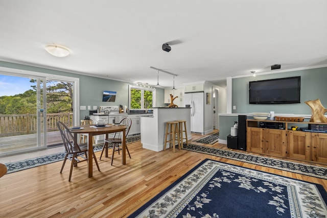 215 Head Of The Bay Rd, Buzzards Bay, MA 02532 - living room featuring ornamental molding and light wood-style floors