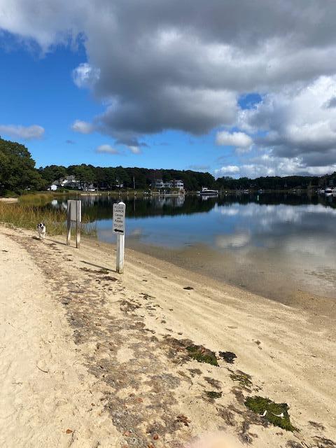 44 Leeward Run, South Yarmouth, MA 02664 - photo 61