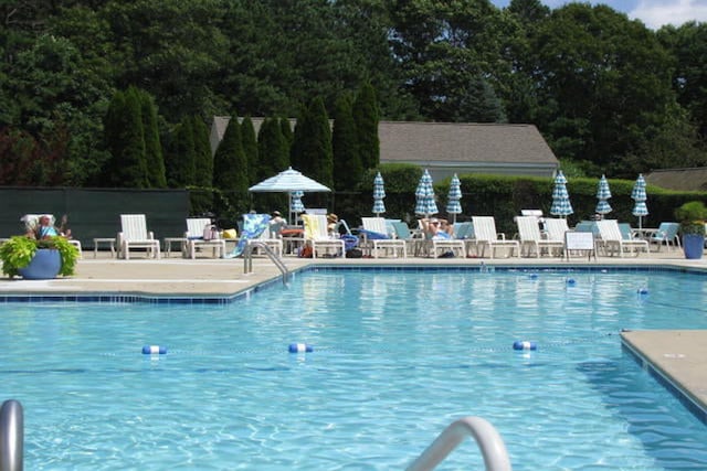 view of pool featuring a patio area