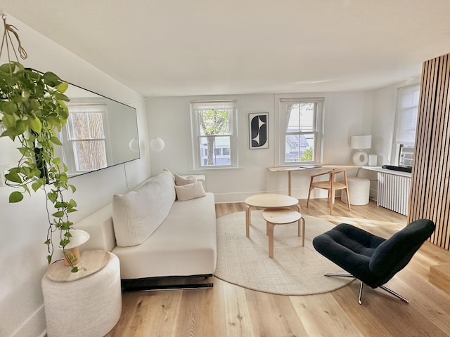 476 Commercial St Unit 4, Provincetown, MA 02657 - living room with radiator heating unit and wood finished floors