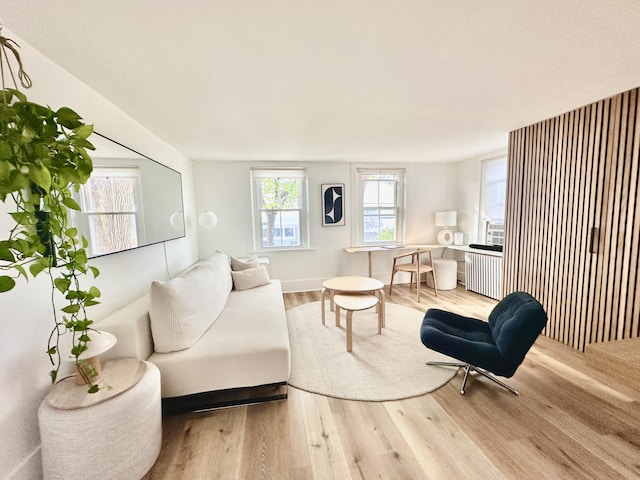 476 Commercial St Unit 4, Provincetown, MA 02657 - living room featuring radiator and wood finished floors