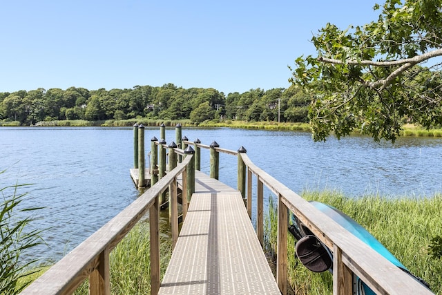 dock area with a water view