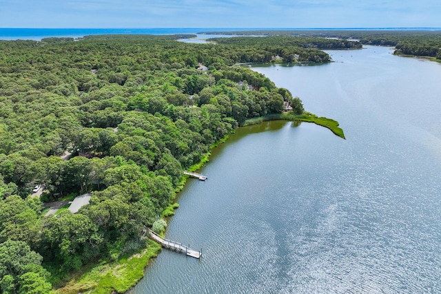 bird's eye view featuring a water view and a wooded view