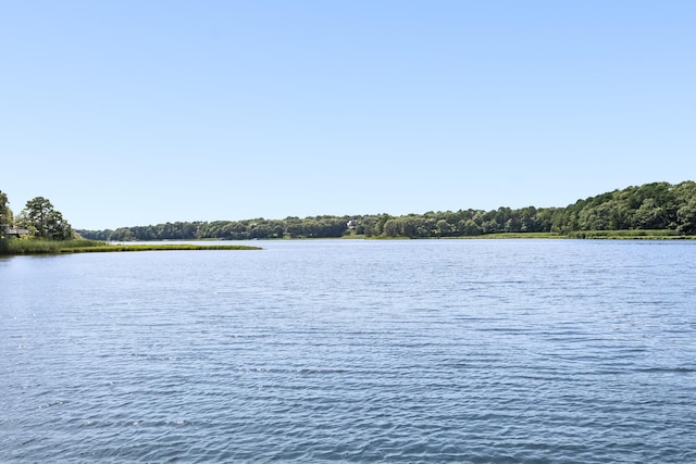 view of water feature