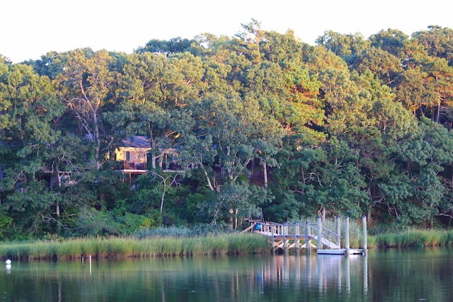 view of water feature