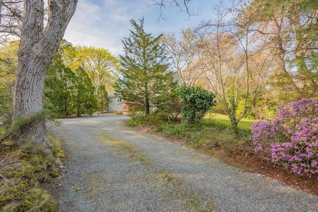 view of dirt / gravel driveway