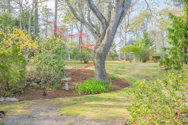 view of grassy yard