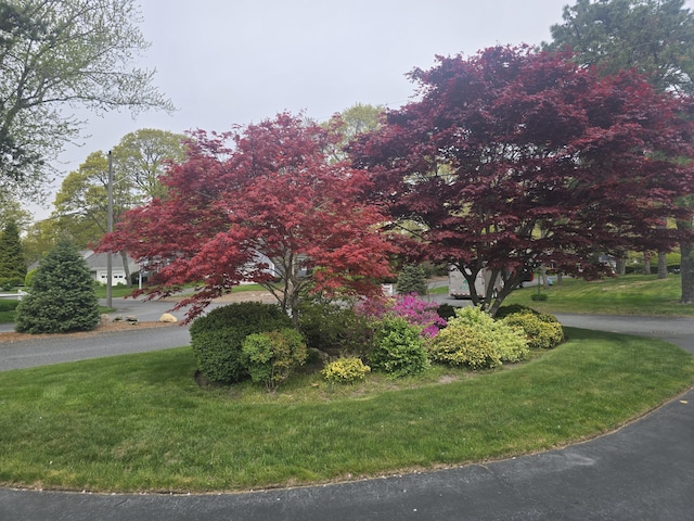 8 Viking Rock Rd, South Yarmouth, MA 02664 - view of front facade with a front yard