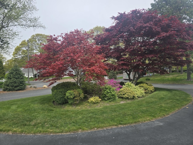8 Viking Rock Rd, South Yarmouth, MA 02664 - view of front of house with a front yard