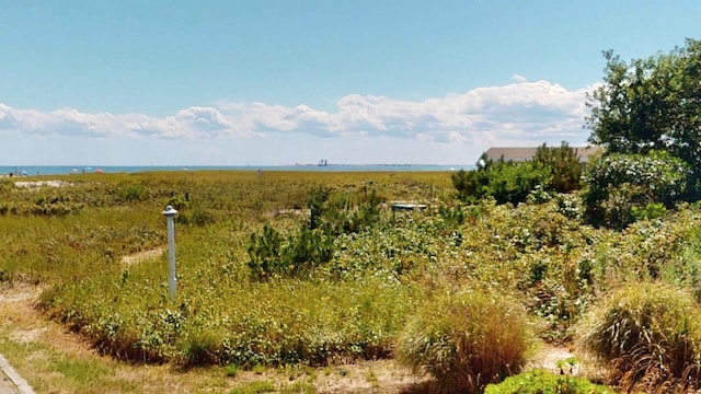 view of local wilderness