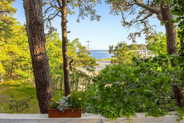 view of water feature