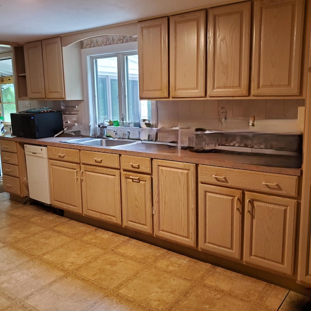 kitchen featuring sink and white dishwasher