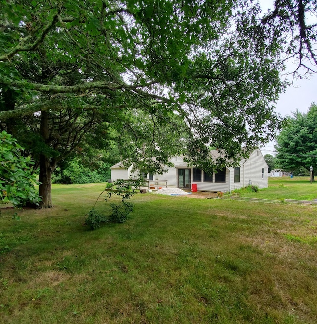 view of yard featuring a patio