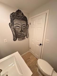 bathroom featuring wood-type flooring and toilet