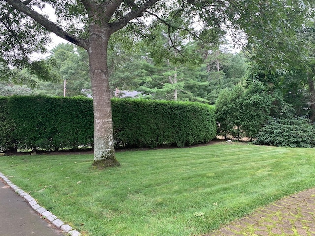 35 Sharon Cir, Osterville, MA 02655 - photo 6